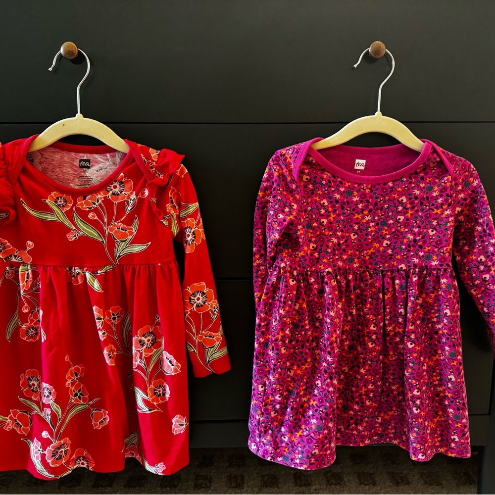 Tea Collection Girls Dresses size 2T